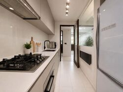 The Visionaire (D27), Condominium #558035781